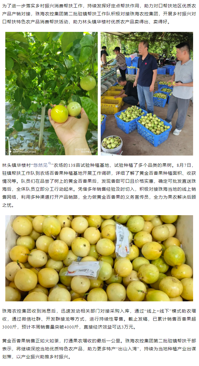 奇异果体育集团助力产销对接 对口帮扶果香飘百里.png
